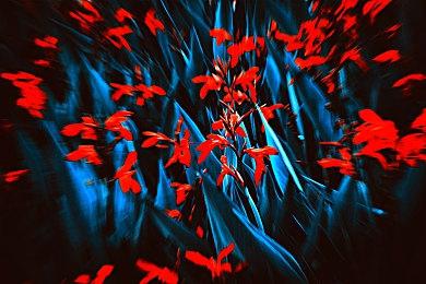 《使命召唤18》PS4＆PS4 Pro＆PS5帧数&分辨率对比